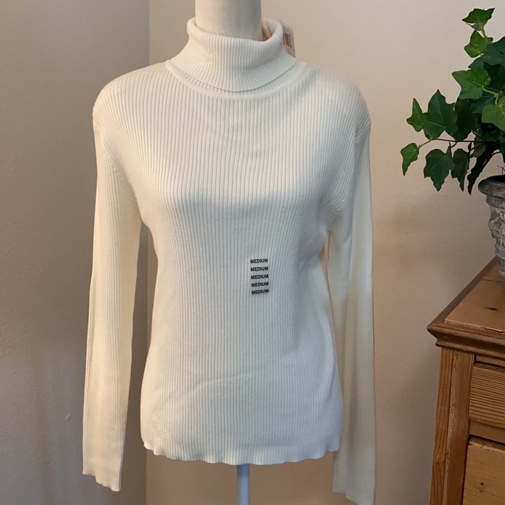 Cream Ribbed Knit Blend Turtleneck